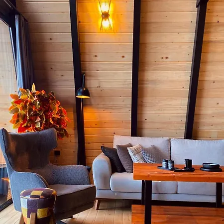 Hill House * Сапанча